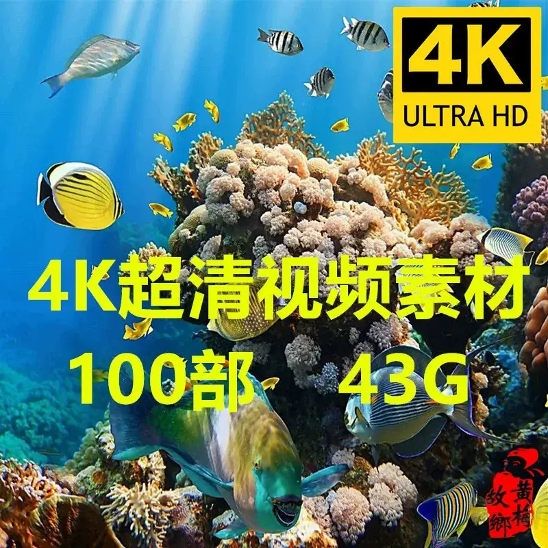 4K高清海洋海底生物世界视频素材